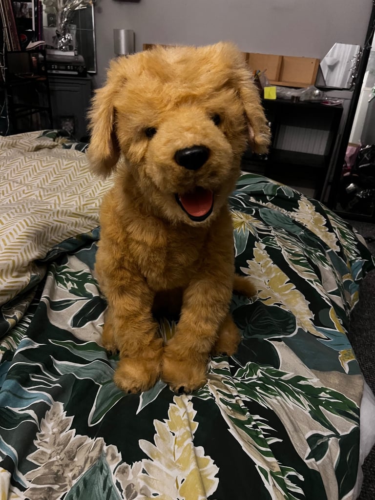 image for Interactive dog toy electronic 