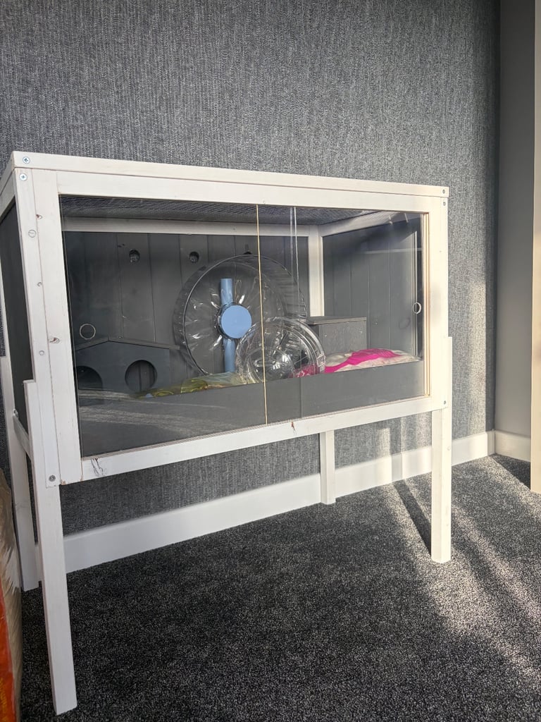 Complete Hamster Setup 