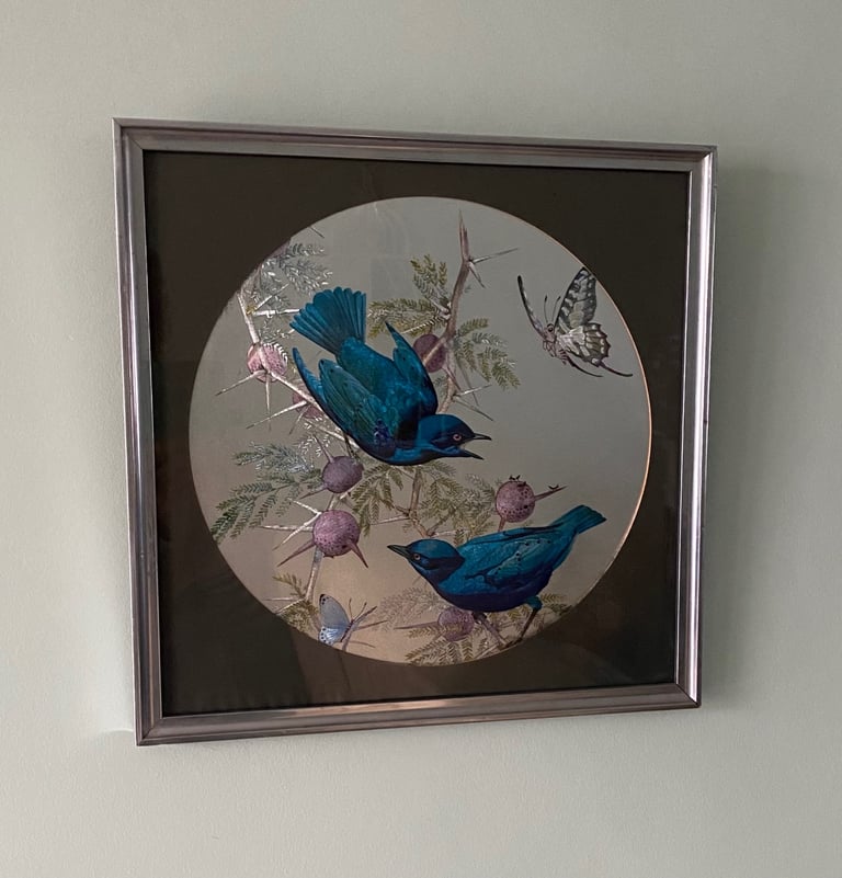 STUNNING BIRD PICTURE IN SILVER FRAME