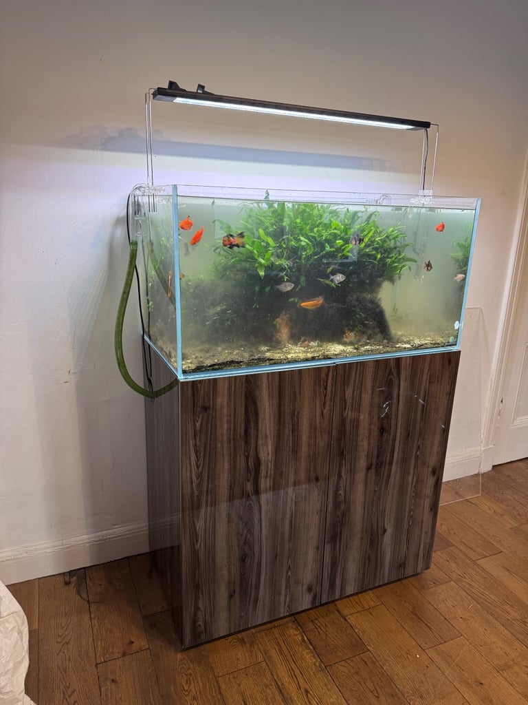 image for Aquascaper 900 fish tank with tropical fish, light, filter and more