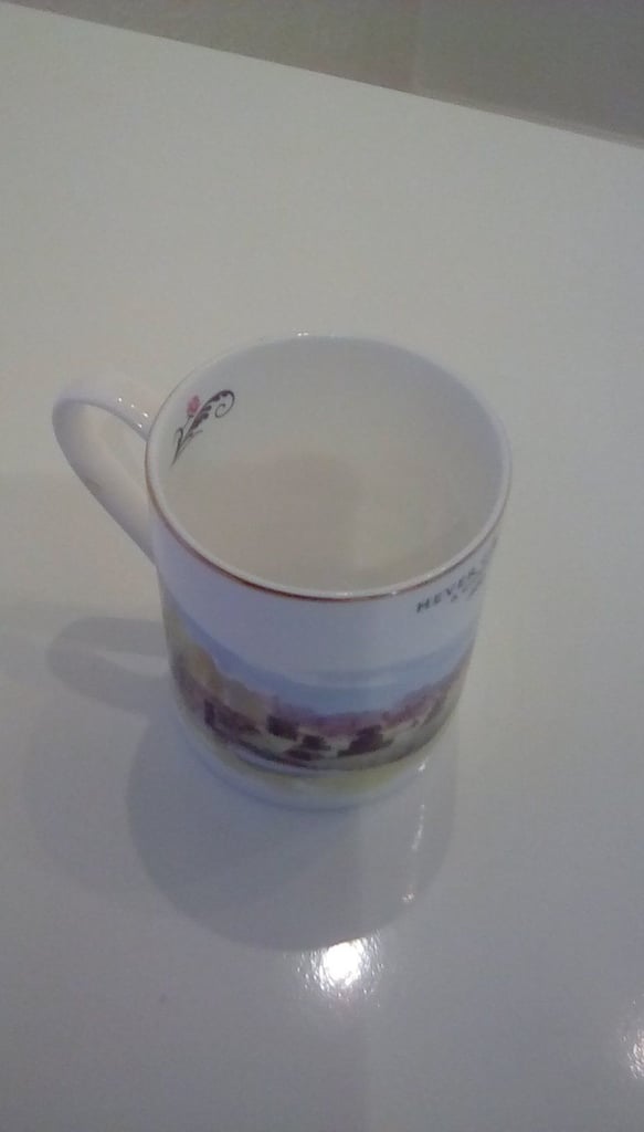 Hever Castle Mug