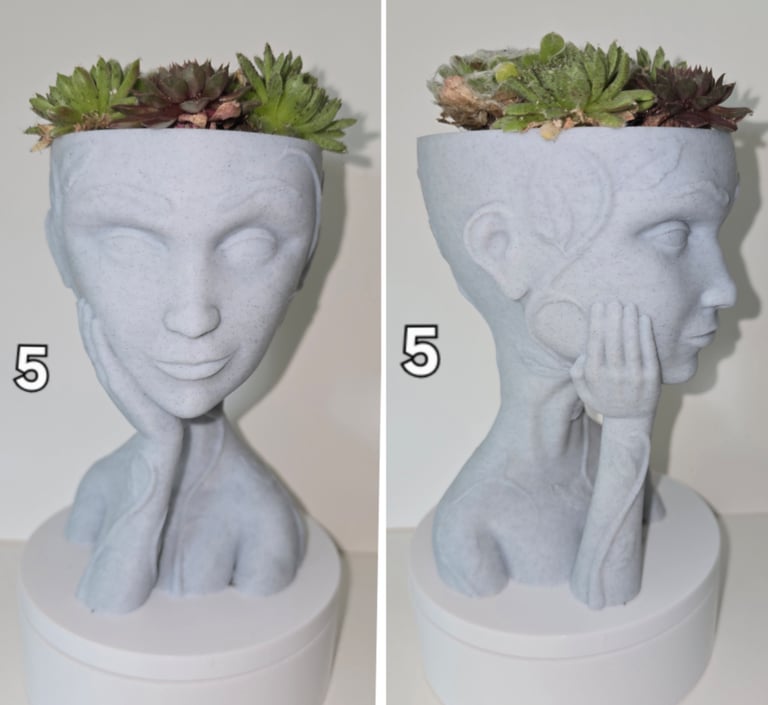 Handcrafted 3D-Printed Marble Effect Plant Pots with Live House Plants