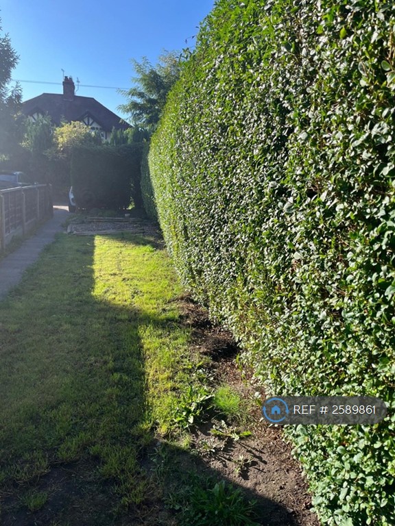 3 bedroom house in Daisy Bank, Nantwich, CW5 (3 bed) (#2589861)