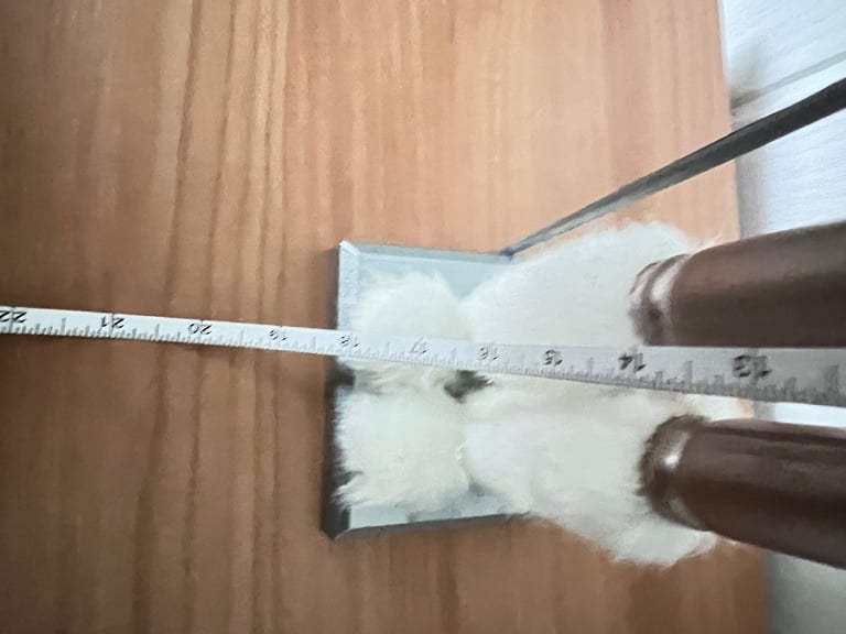 2 x Wooden Nutcracker Standing Ornaments 