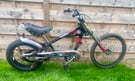 Stingwray chopper bike £80