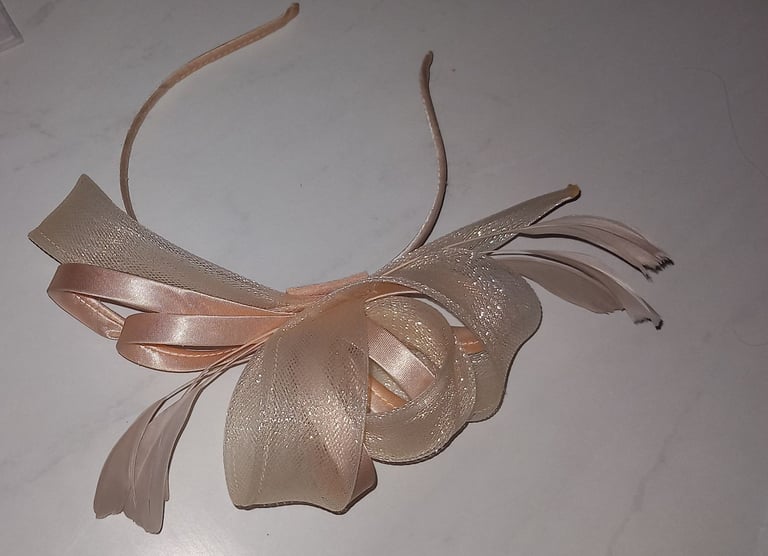 Ladies fascinator 