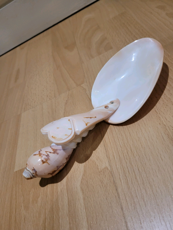 image for Large Shell Spoon