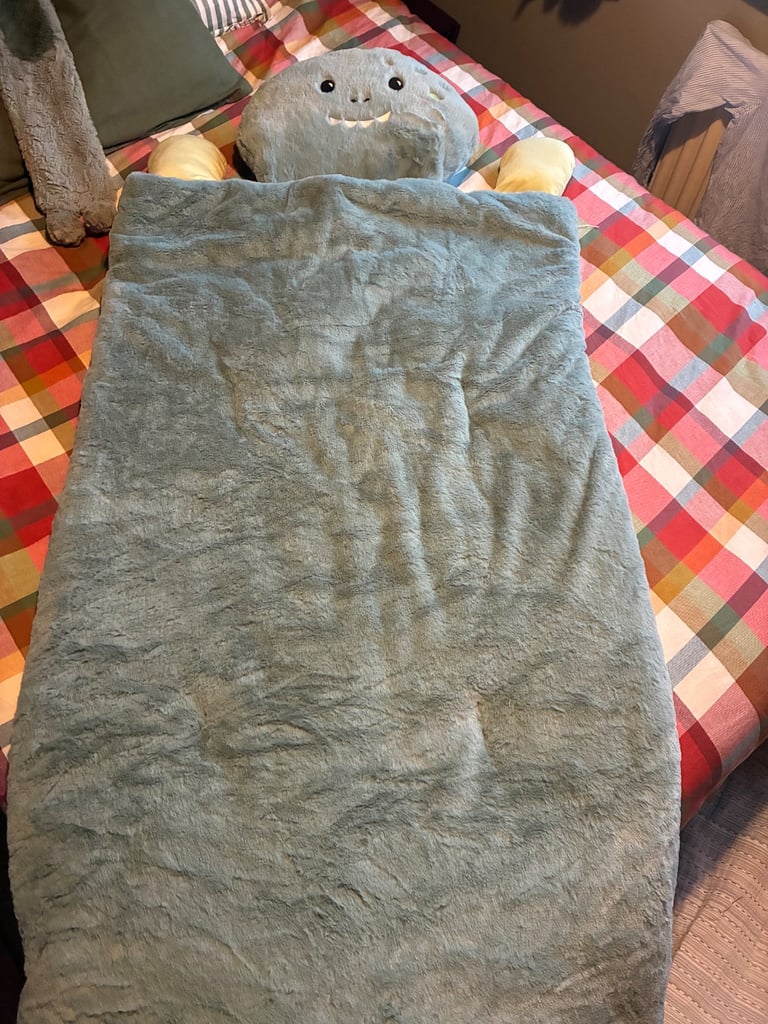 Dinosaur sleeping bag brand new