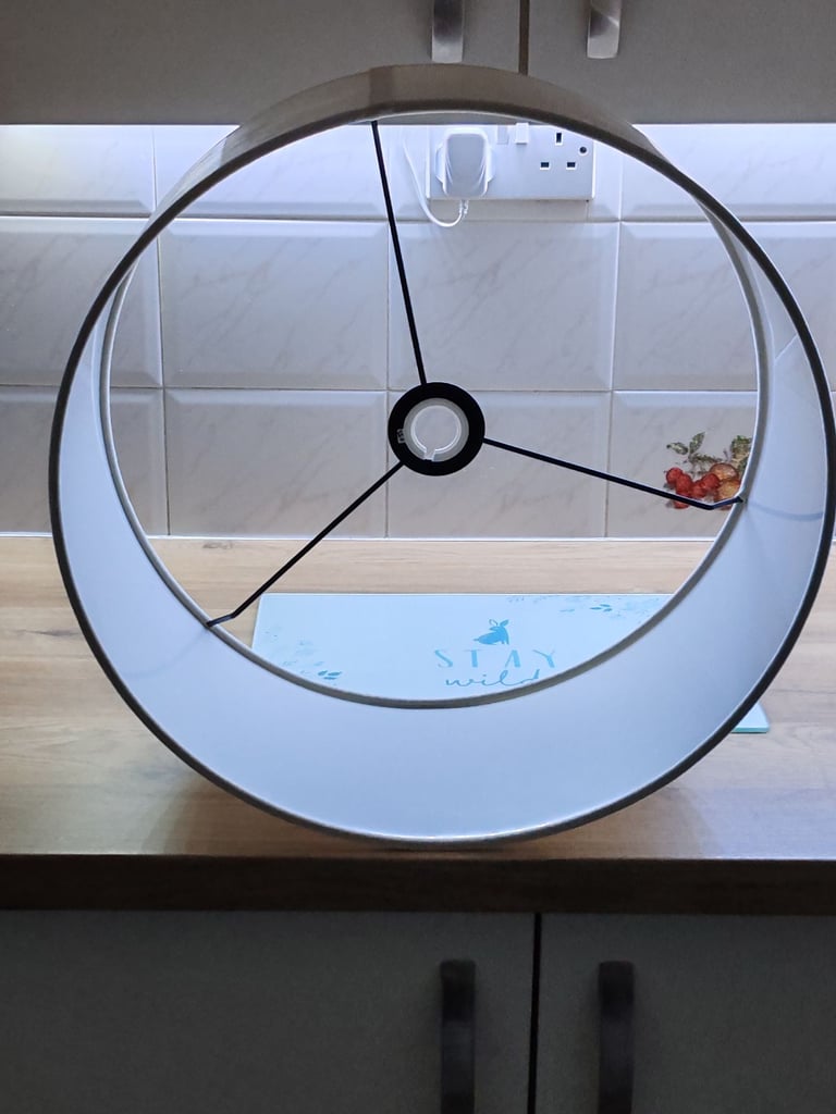 Large Lampshade £5