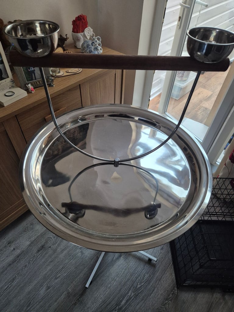 Parrot stand