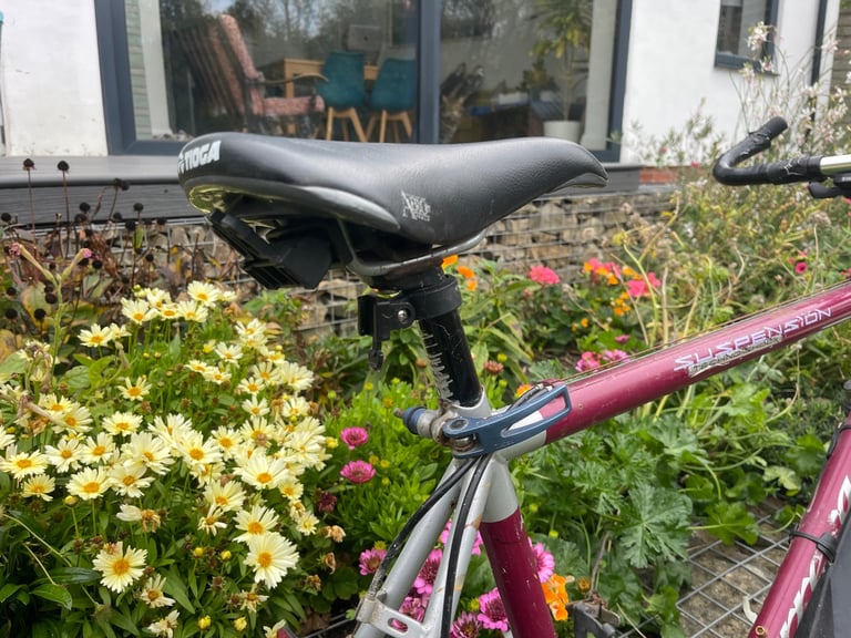 Men’s Carrera Bike