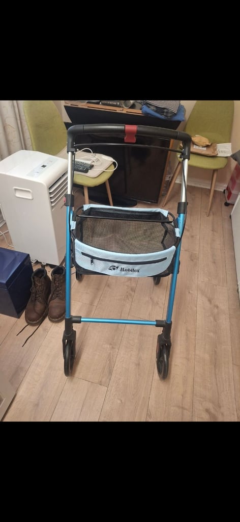 image for Indoor walker