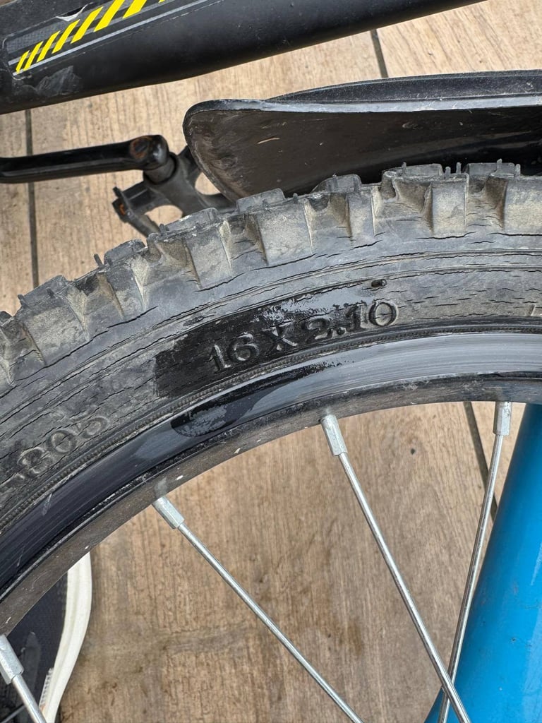 Boys Champion 16 inch wheel bike