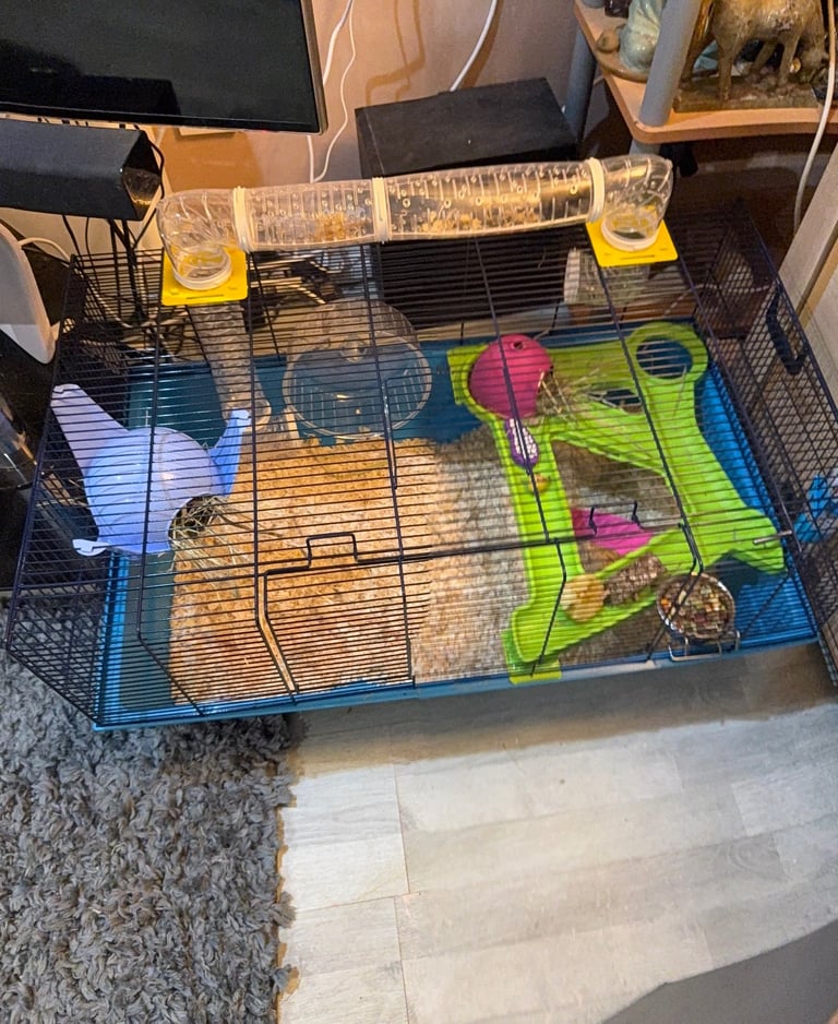 Hamster cage