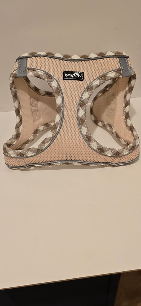 Dog harness and Leash. Size M