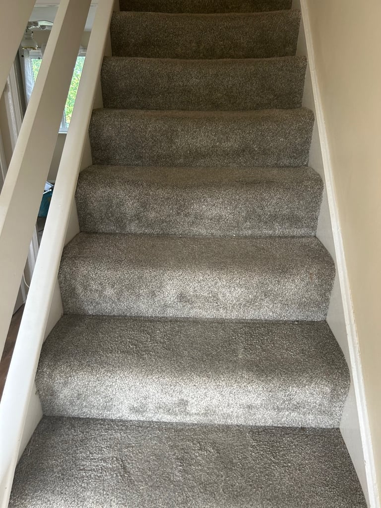 Anita Cleaning Services 