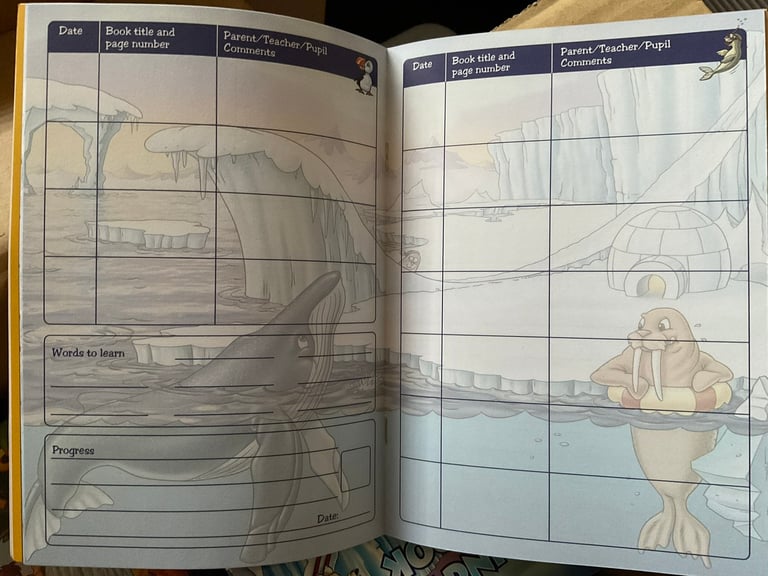 Primary school reading record books