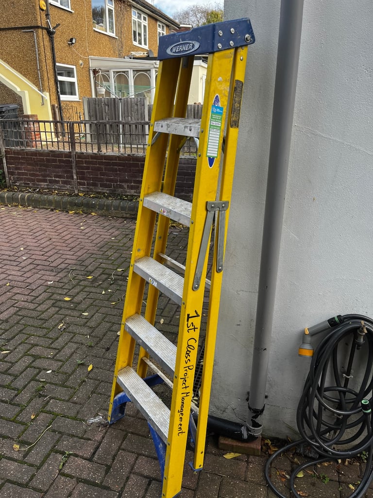 image for Werner 5 step ladder