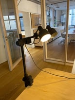 Desk Lamp with Extendable Clamps