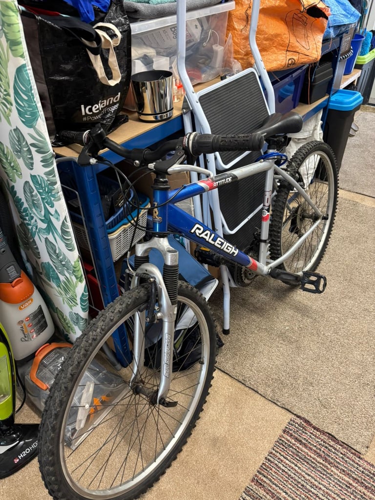 Raleigh Bike ( bargain )