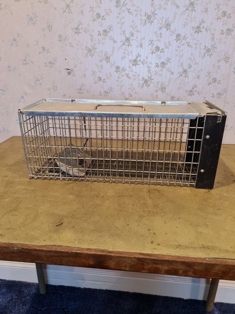 image for Humane Rat Trap