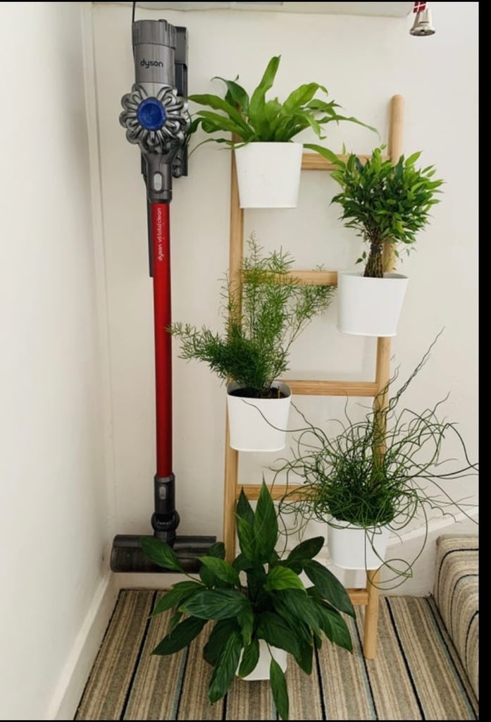 2 Rooms in 2 Bedroom Modern House 