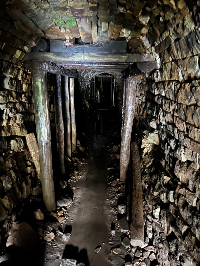 Citroen, DISPATCH, Panel Van, 2015, Manual, 1560 (cc)