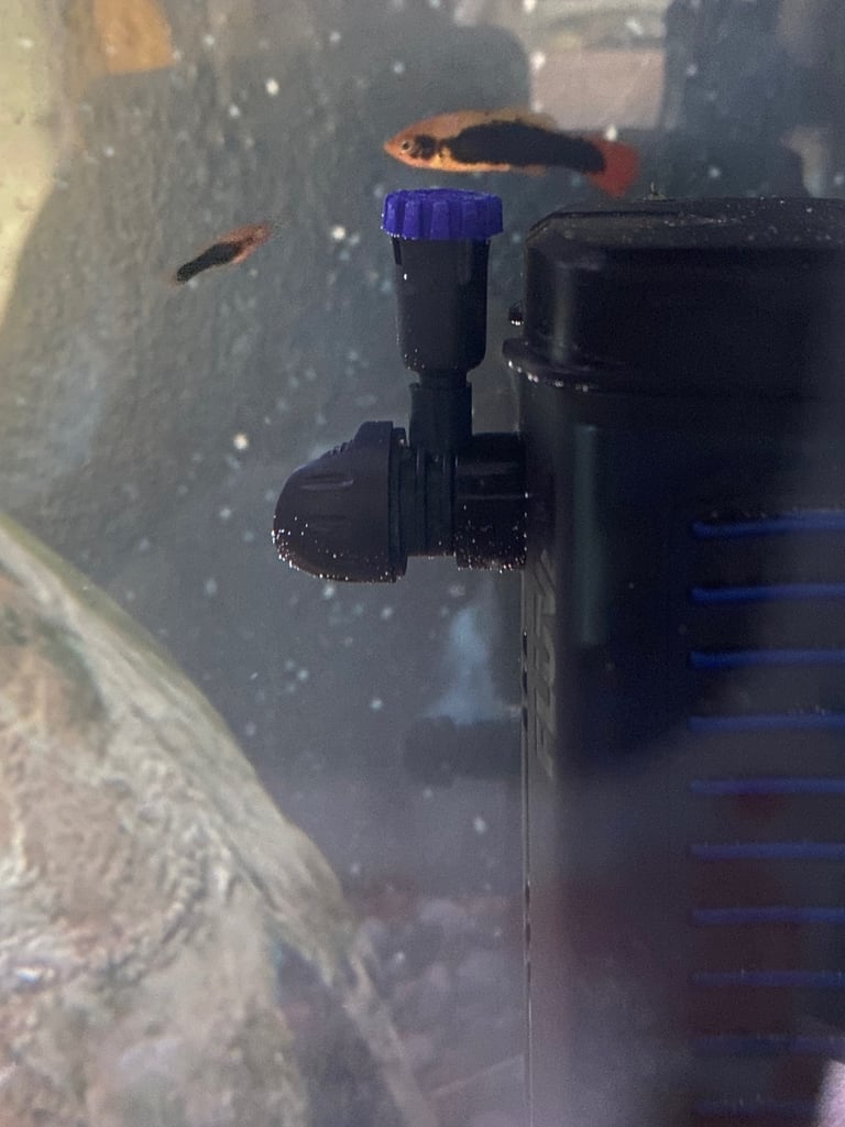 Aquarium with fish
