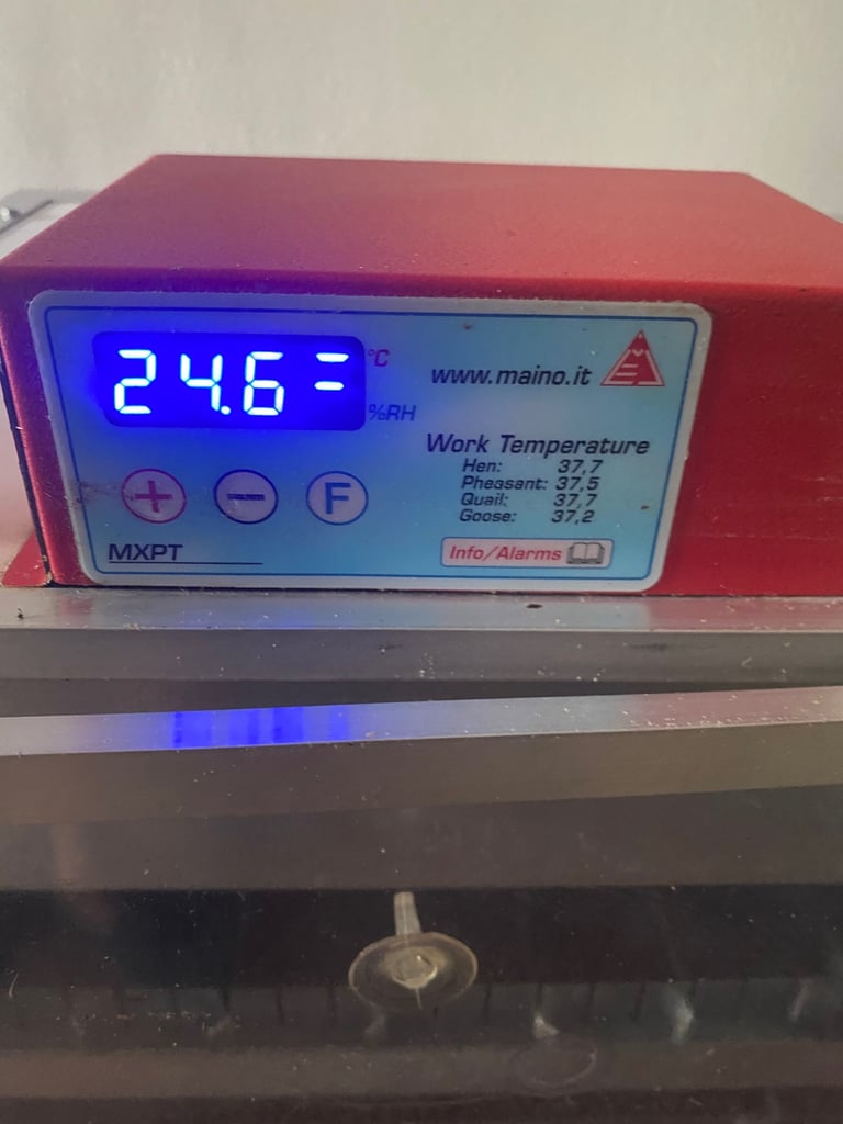 Quick sale automatic incubator for sale 174