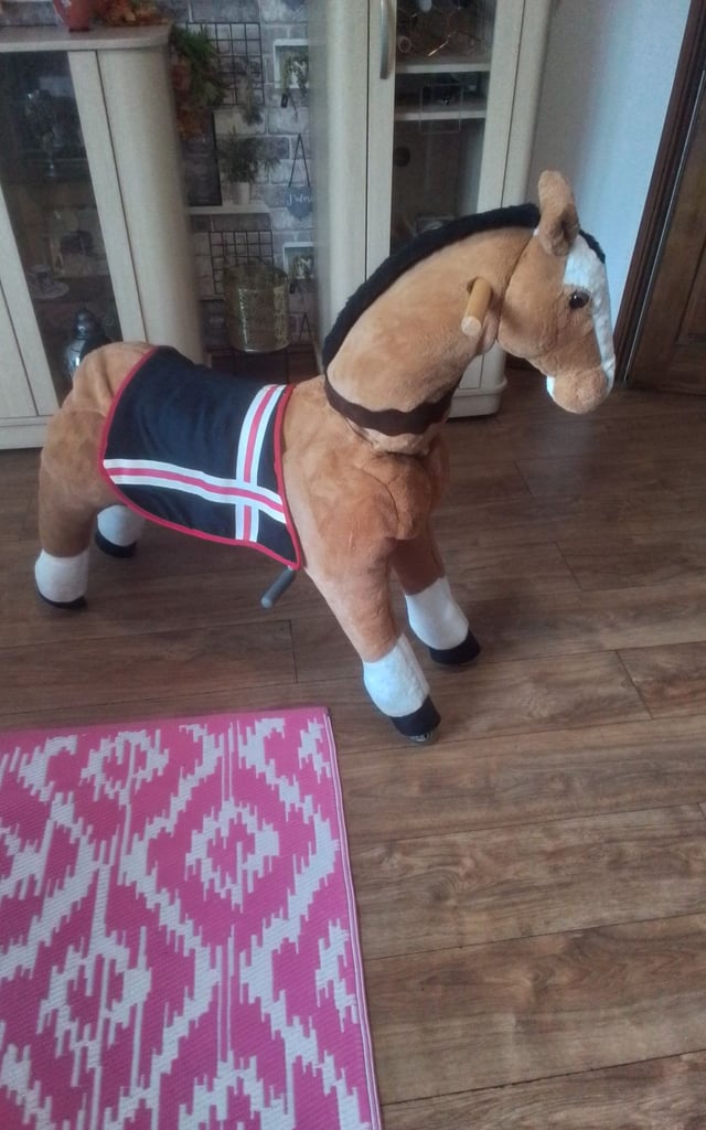 image for RIDE ALONG HORSE 