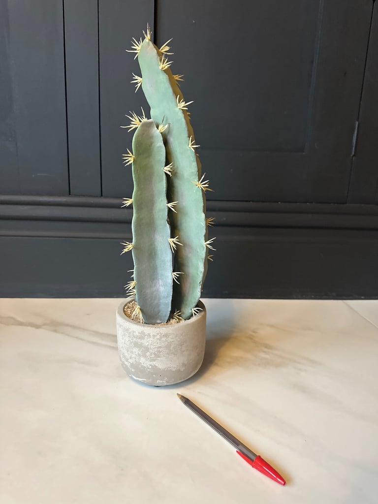 image for Faux potted cactus 