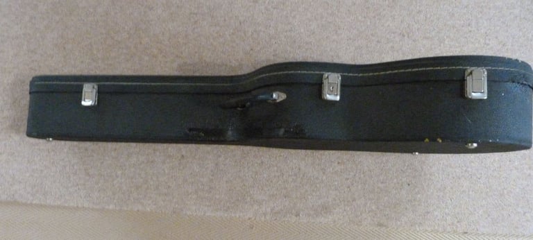 Lined Guitar hard case