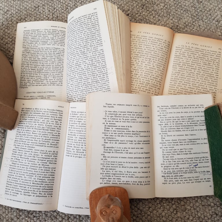 French books including dictionaries and grammars