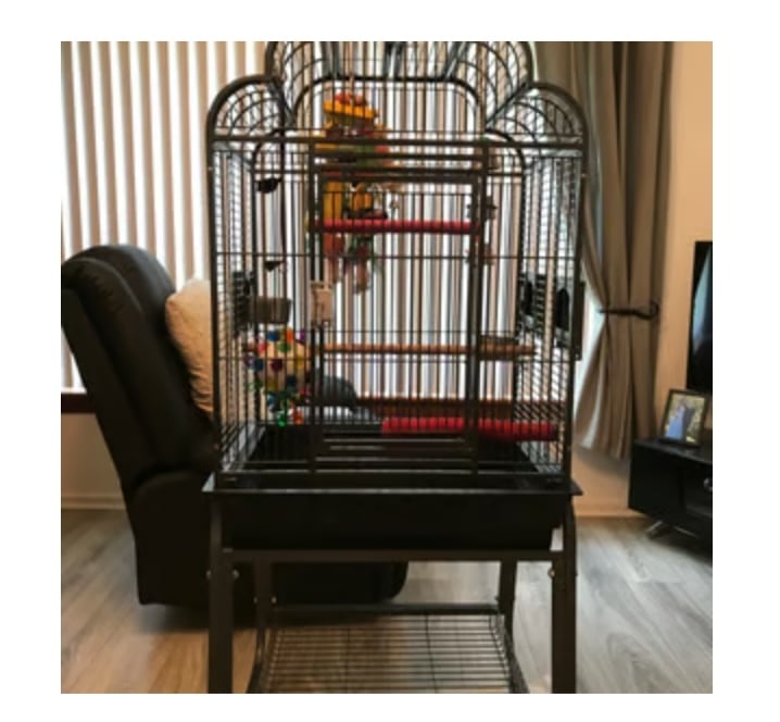 Bird cage for small bird