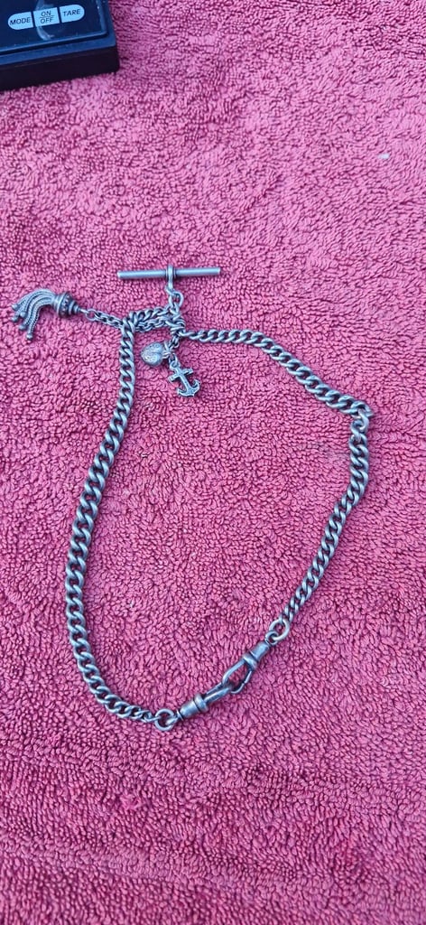 Silver albert chain fob and charms