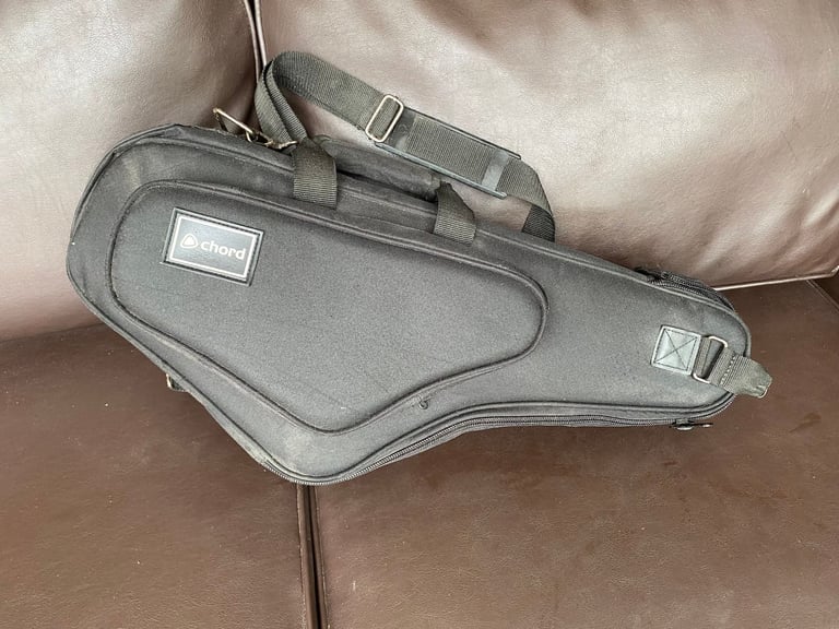 Alto saxophone case, soft but firmly insulated: Chord make