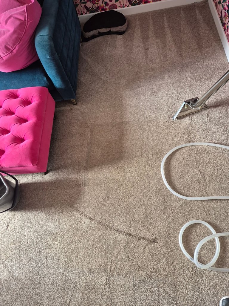 Carpet cleaner