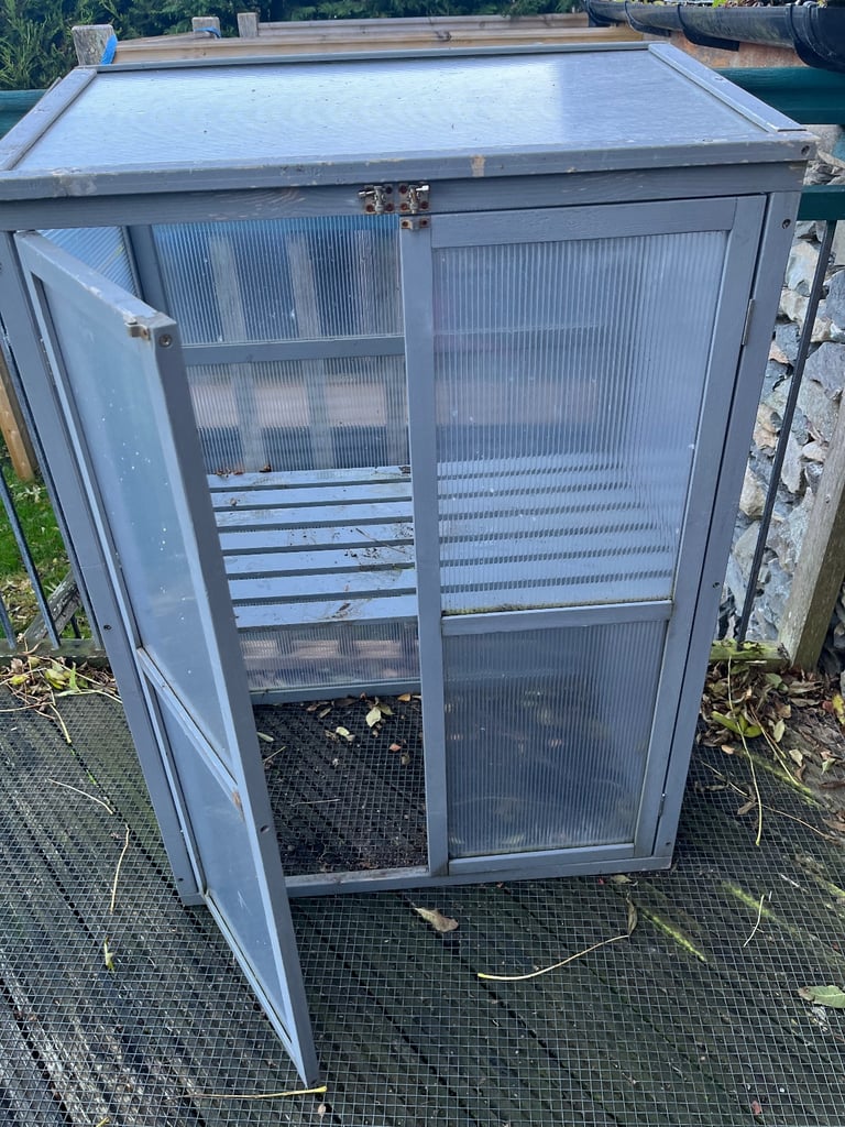 image for Small greenhouse
