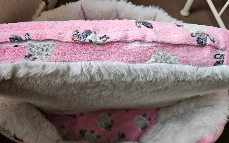 Bespoke dog bed