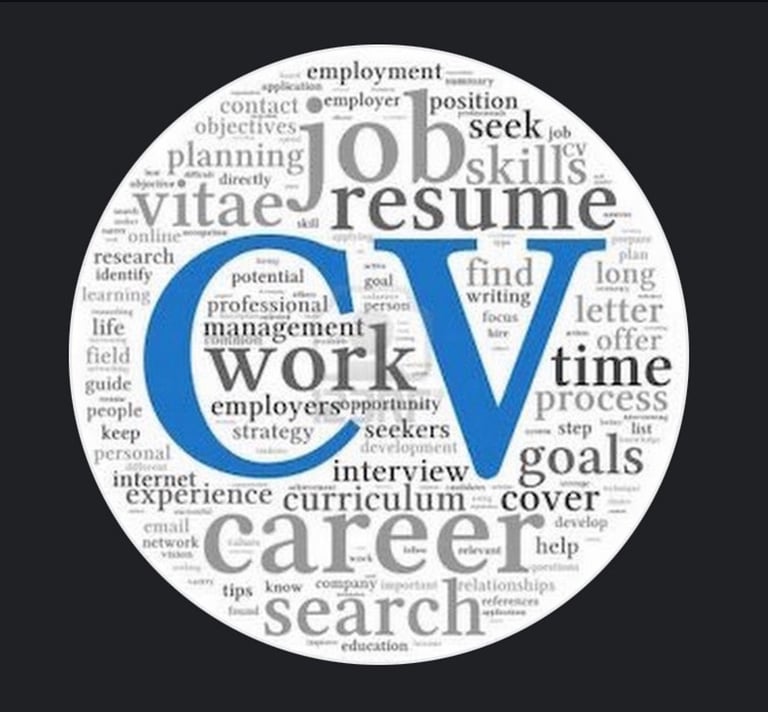 image for Professional CV Writing
