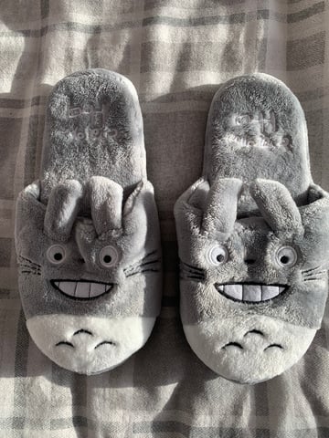 Totoro slippers new arrivals