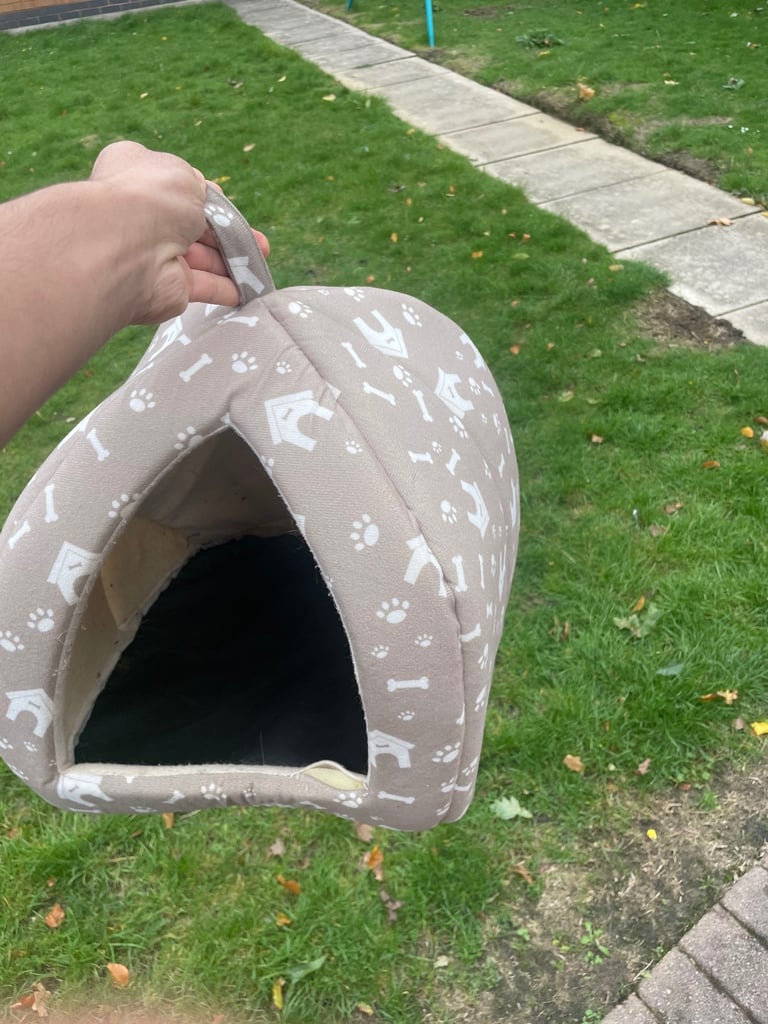 big batch of cat supplies 