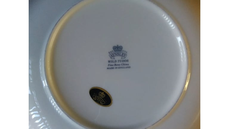 ‘Wild Tudor’ Royal Aynsley