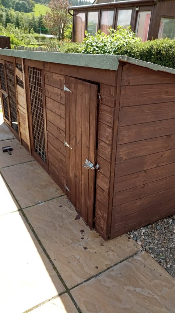 image for Dog kennel/run