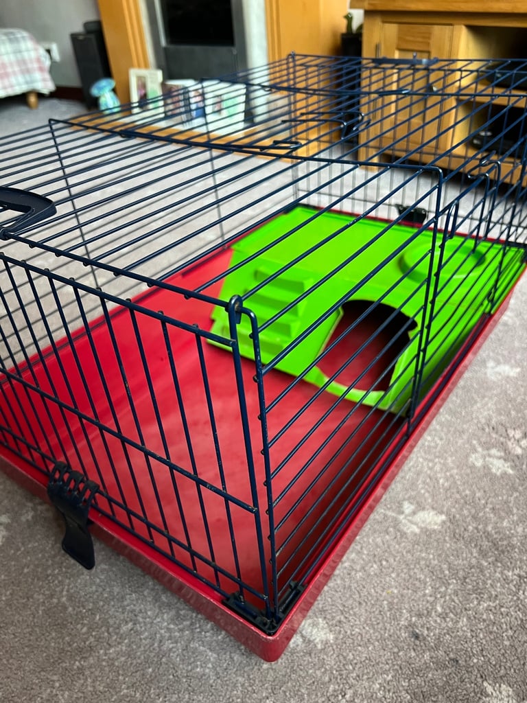Guinea pig cage