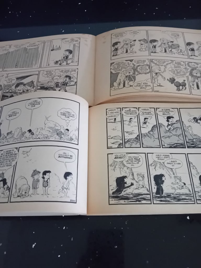 Two vintage The Perishers books
