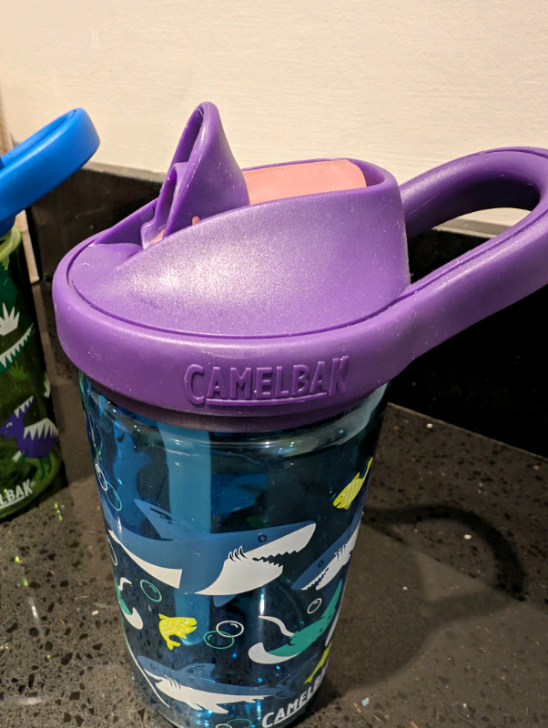 2x Camelbak childrens water bottles