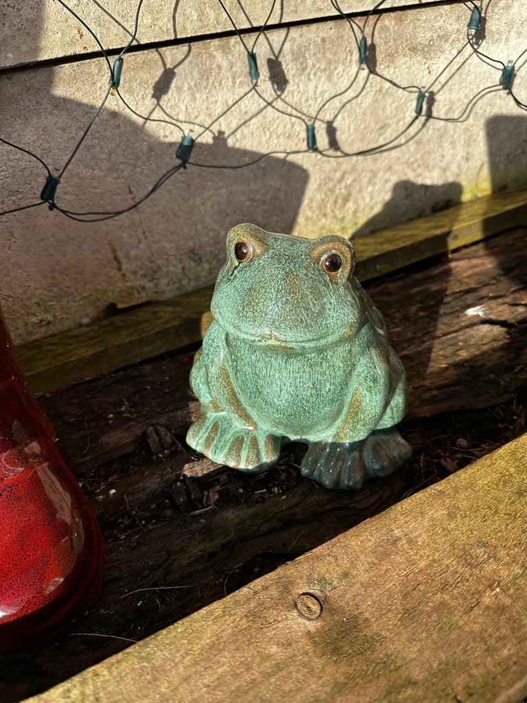 image for Garden pot frog 