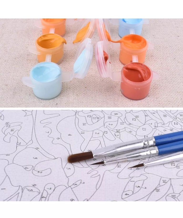 Painting By Numbers Craft DIY Paint On Canvas Brushes & Acrylic Pigment 16”x20”