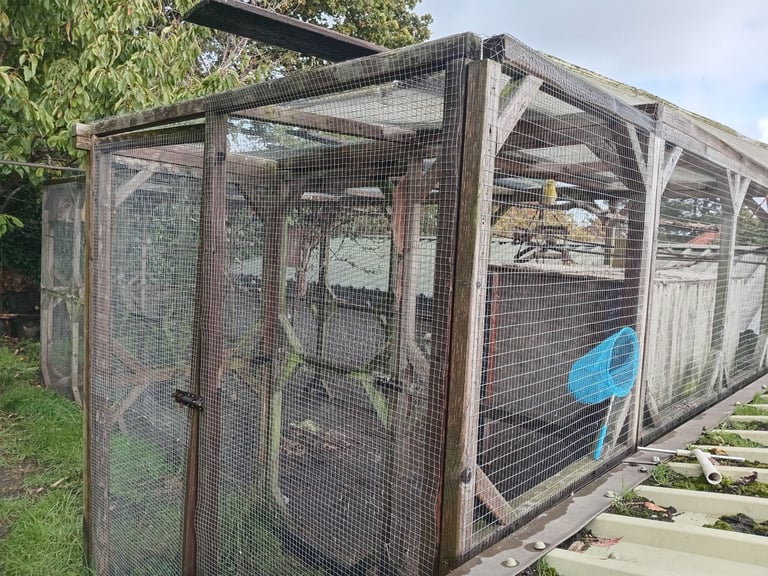 18 x 6 aviary with 6 x 3 porch